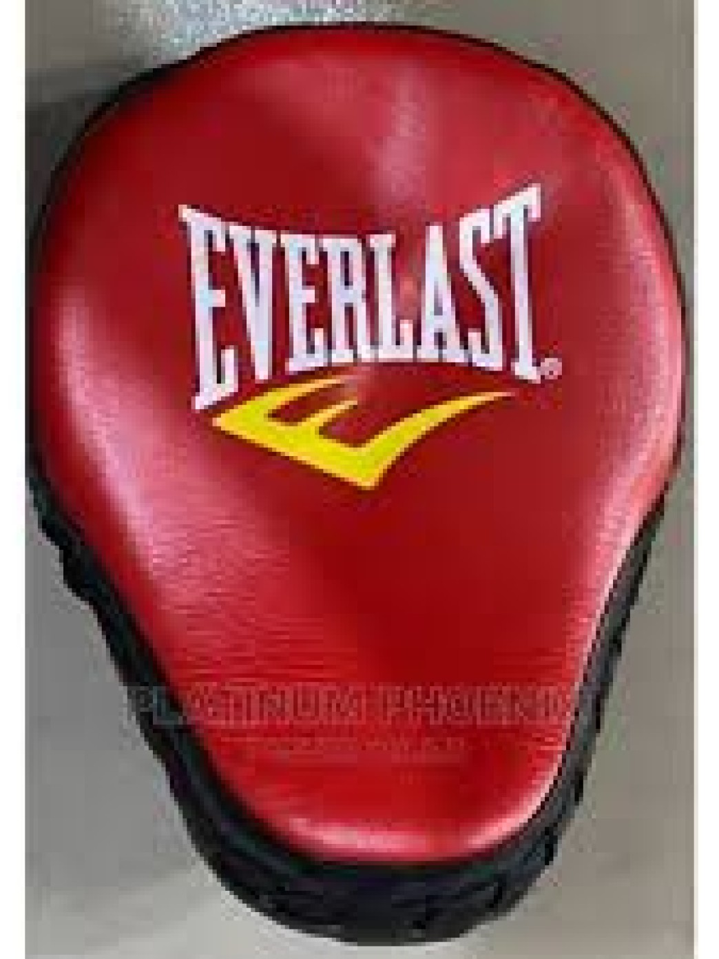 Everlast boxing punch mitts